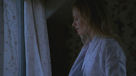 sookiewindow