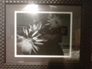 Unknown framed artwork sent by HBO